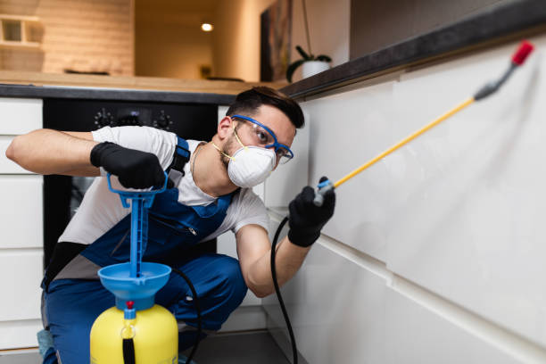 Best Pest Control for Homes  in Seven Points, TX