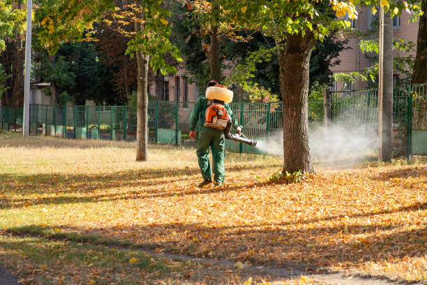Best Rat Extermination Near Me  in Seven Points, TX