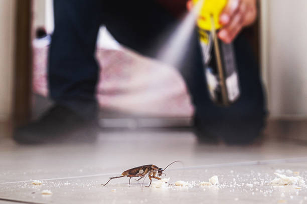 Best Local Pest Control Services  in Seven Points, TX