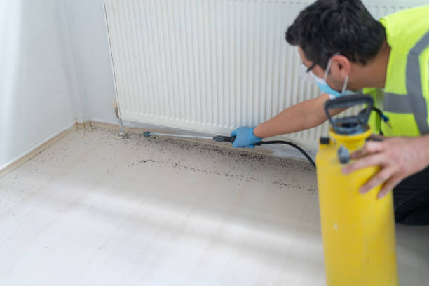 Best Ant Control Services  in Seven Points, TX
