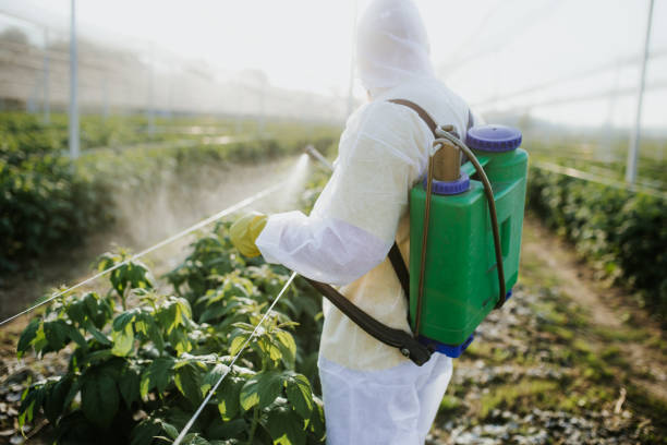 Pest Control for Restaurants in Seven Points, TX